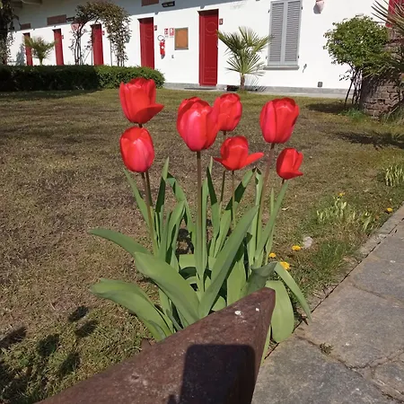 Antica Dogana