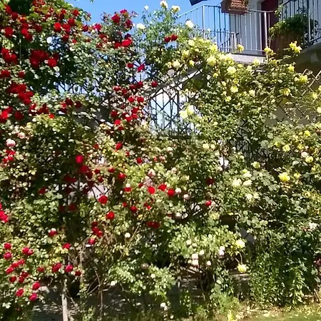 Antica Dogana Asti